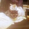 れおさんのプロフィール画像