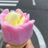 ロールさんさんのプロフィール画像
