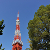 なつさんのプロフィール画像