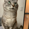 まりさんのプロフィール画像