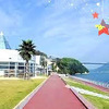 まーさんのプロフィール画像
