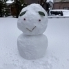 かめださんのプロフィール画像