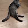 マルタクロッスさんのプロフィール画像