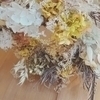 ばくさんのプロフィール画像