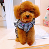 ryomaさんのプロフィール画像
