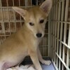 捨印さんのプロフィール画像
