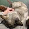 つるさんのプロフィール画像