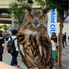 Reeさんのプロフィール画像