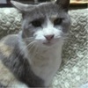 tomoさんのプロフィール画像
