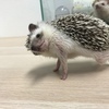 ざきさんのプロフィール画像