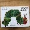 こっこさんのプロフィール画像