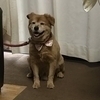 おもちさんのプロフィール画像