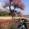 hiroshi さんのプロフィール画像