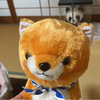 Kょんさんのプロフィール画像