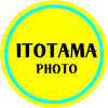 いとたまフォトさんのプロフィール画像