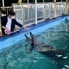 ヒロさんのプロフィール画像