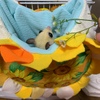 福ももんがランドさんのプロフィール画像
