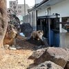 わたなべさんのプロフィール画像