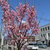SSさんのプロフィール画像