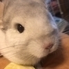 むーさんさんのプロフィール画像