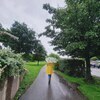 やんにさんのプロフィール画像