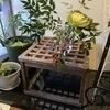 家内安全