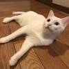 speedkingさんのプロフィール画像