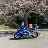よしキングさんのプロフィール画像