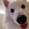 はつ  さんのプロフィール画像