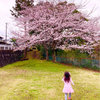 さくらもちさんのプロフィール画像