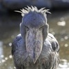 なもさんのプロフィール画像