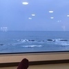 くるぶしさんのプロフィール画像