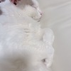 はるかさんのプロフィール画像