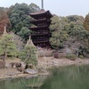 ミツさんのプロフィール画像