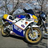 べろりさんのプロフィール画像