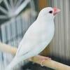 風花さんのプロフィール画像