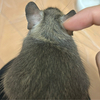 優花さんのプロフィール画像