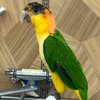 サボテンさんのプロフィール画像