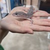 mさんのプロフィール画像