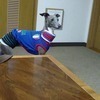 CRCRさんのプロフィール画像