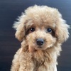 Jasmineさんのプロフィール画像