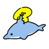 イルカさんのプロフィール画像