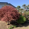 チャド助さんのプロフィール画像