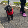 yamaguchiさんのプロフィール画像