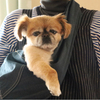 まめきちさんのプロフィール画像