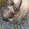まりえさんのプロフィール画像