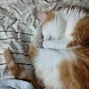 nntkk848さんのプロフィール画像