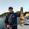 もちゃがるくんさんのプロフィール画像