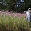 かめさんのプロフィール画像