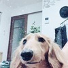 やまとさんのプロフィール画像
